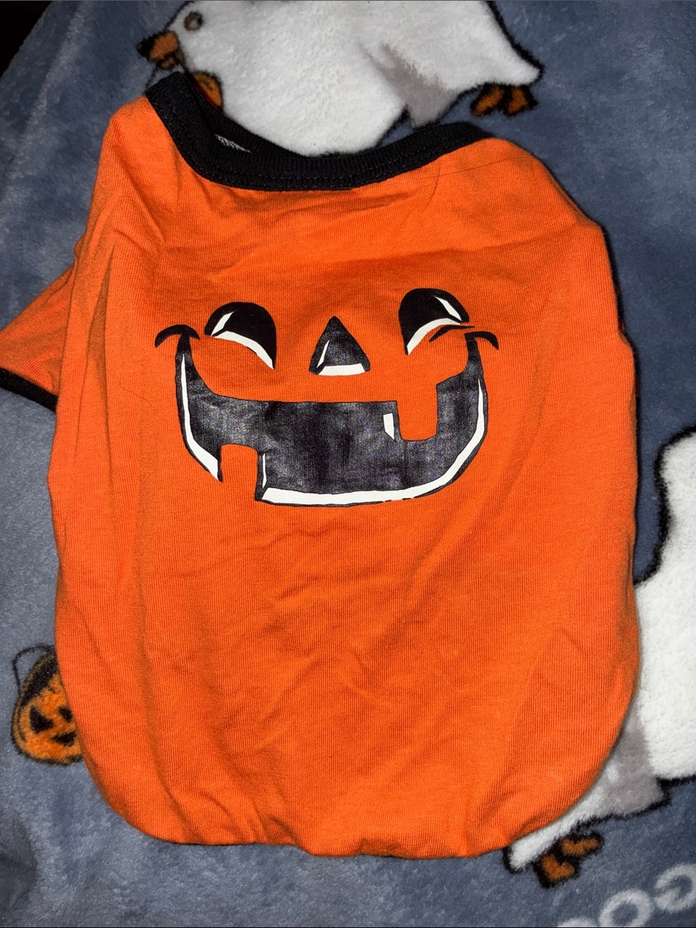 NEW Target Orange Pumpkin Face Dog Tee with Black Trim SIZE Small